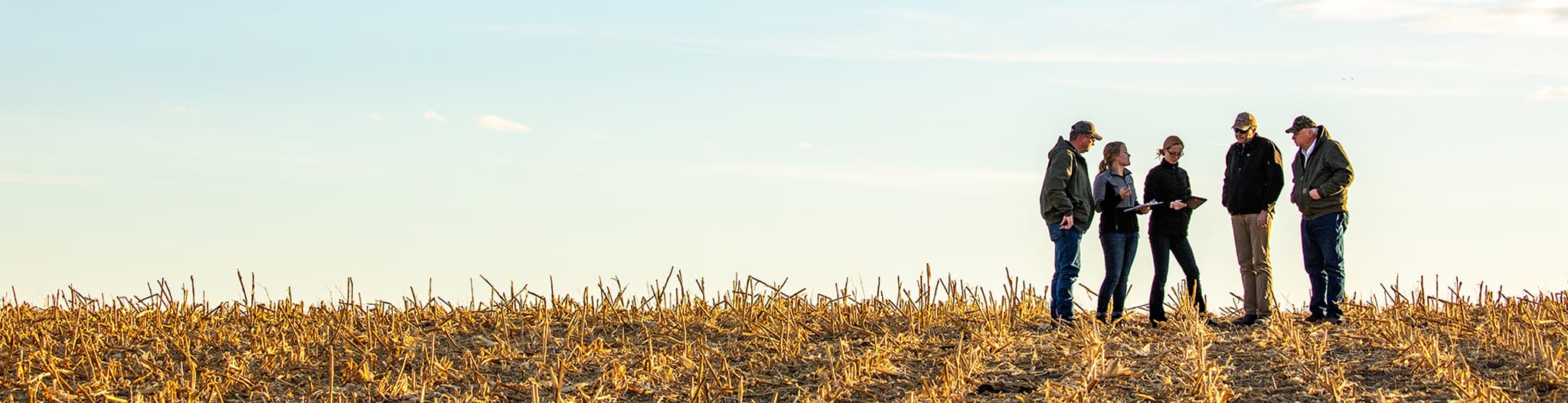 Five people in a field