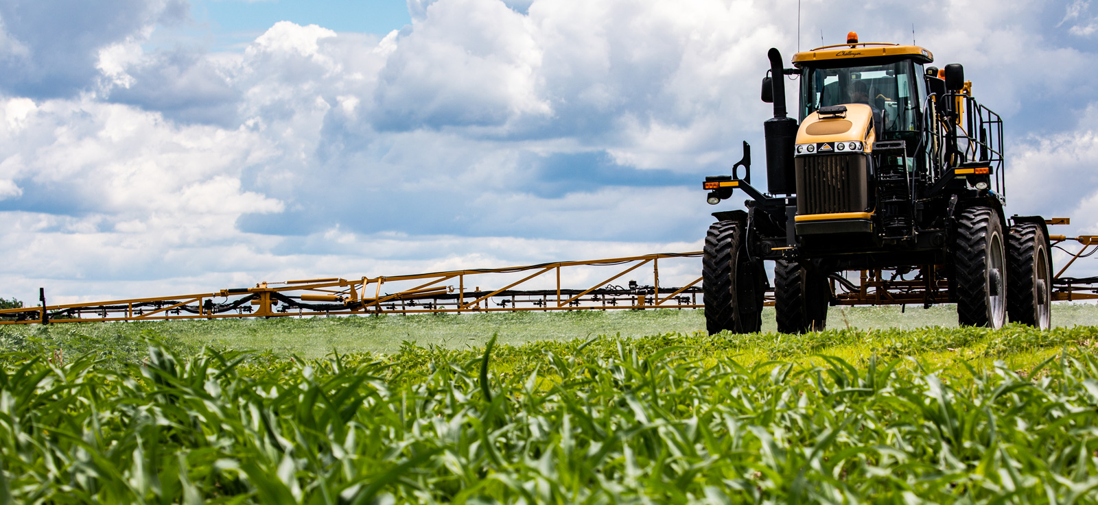 Sprayer in a field