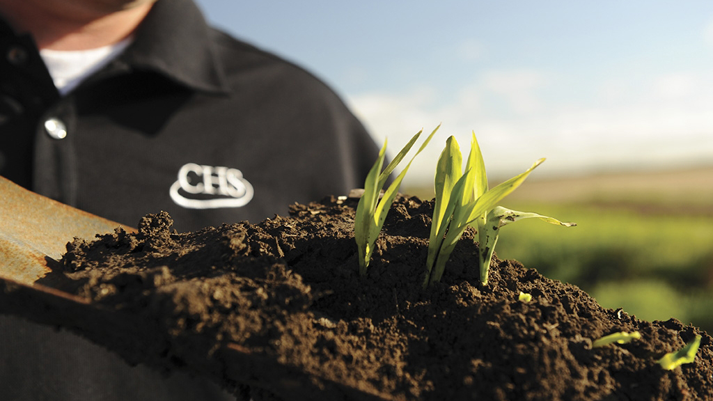 Shovel with soil and plants in it