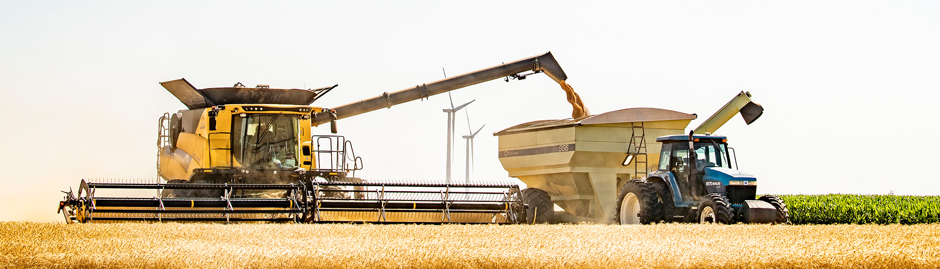 Corn harvest with combine in Kansas field